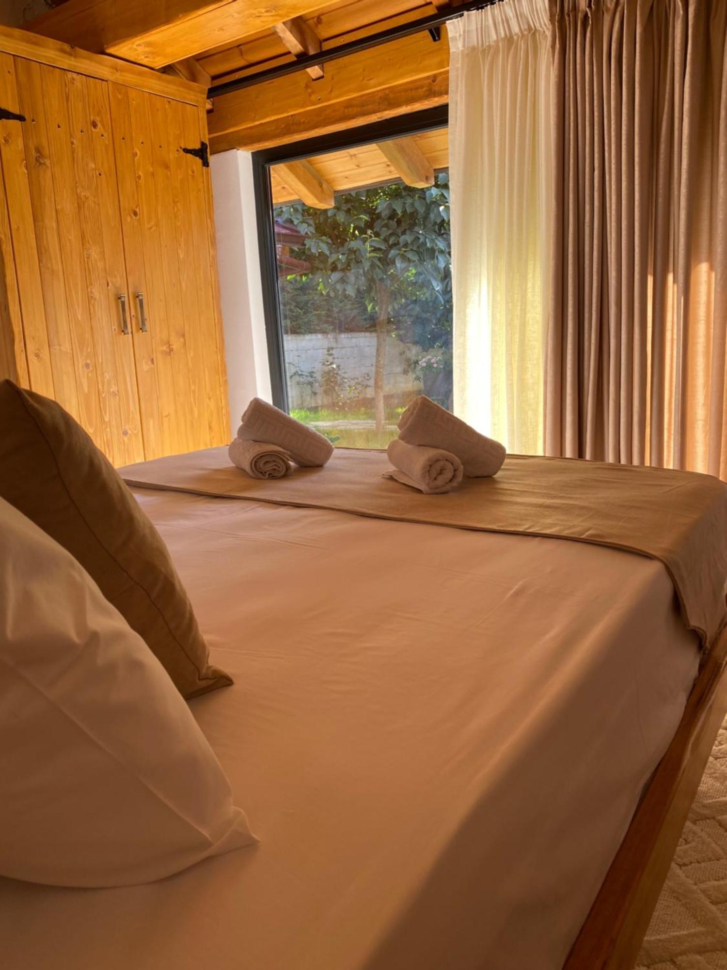 Villa Vileta Auri Tushemisht