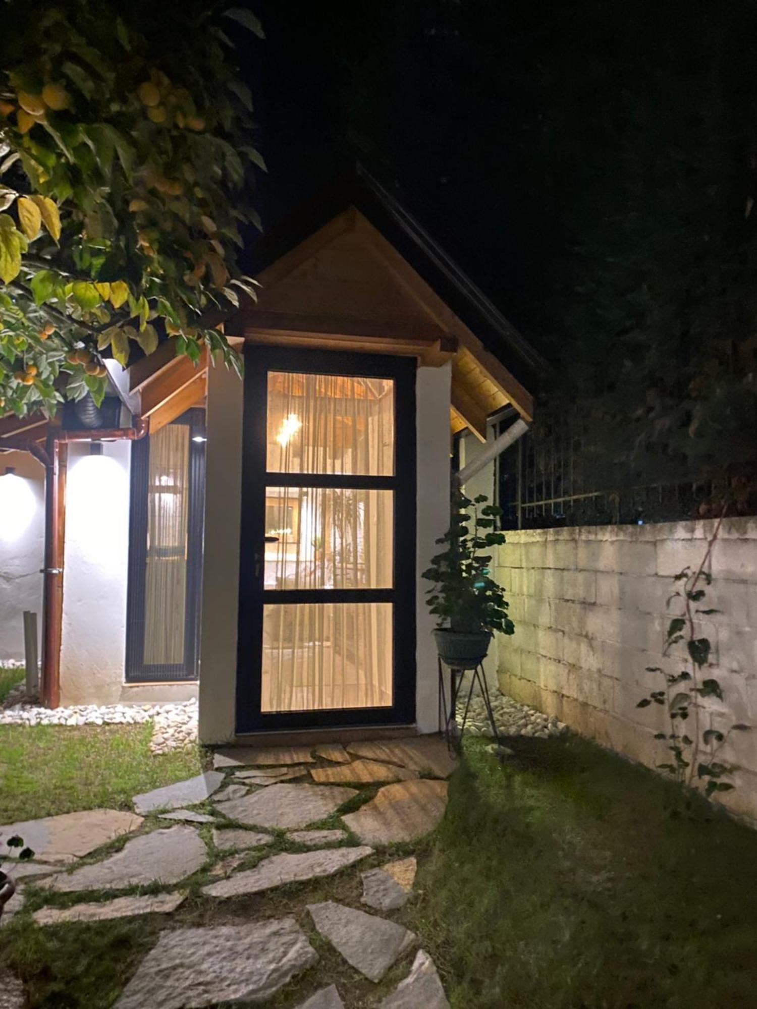 Villa Vileta Auri