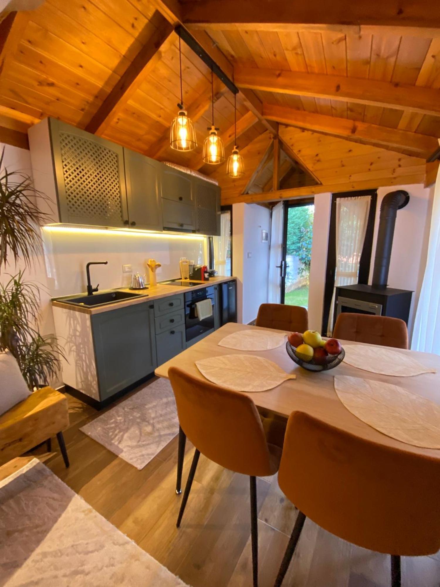 Vileta Auri Villa Tushemisht